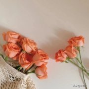 不烂大街的小众治愈文案