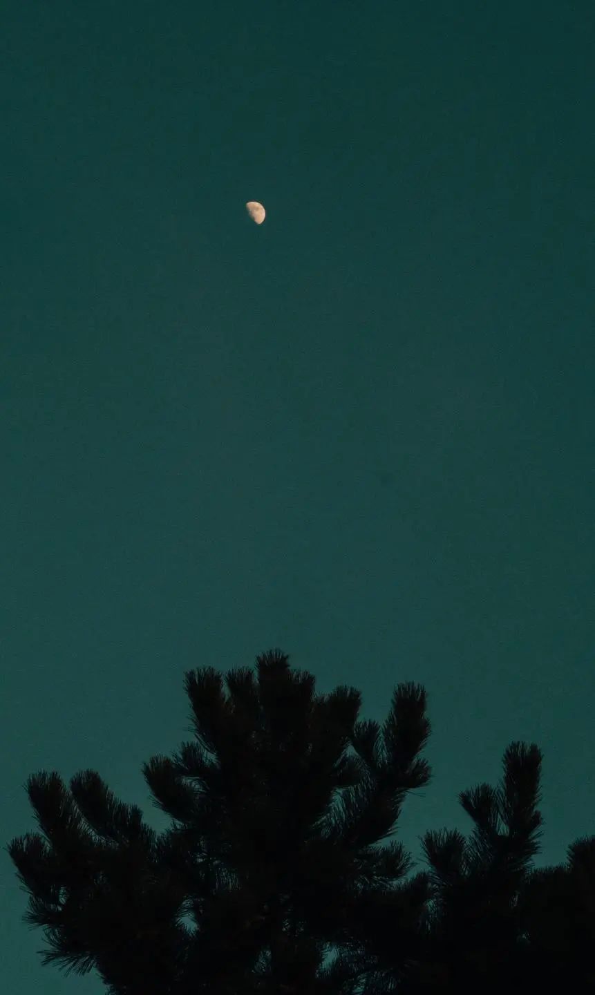 那些一眼就击中内心的文案(图7) 文案分享‖那些一眼就击中内心的文案