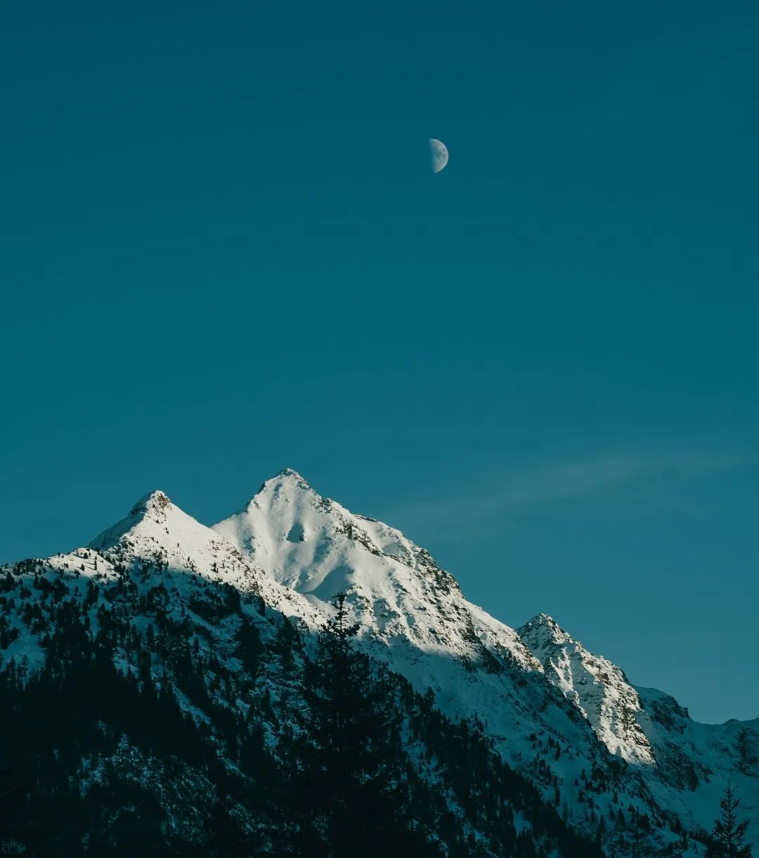 那些一眼就击中内心的文案(图6) 文案分享‖那些一眼就击中内心的文案