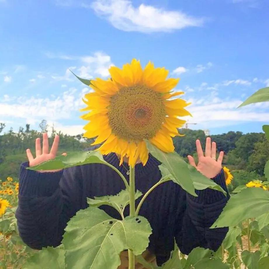 永远不会烂大街的文案