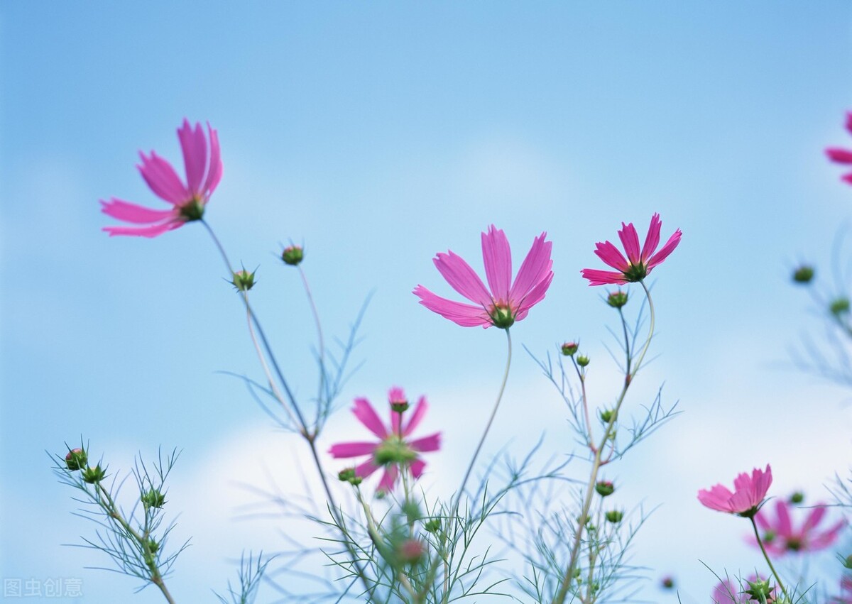 心累无人懂的朋友圈说说，句句痛彻心扉