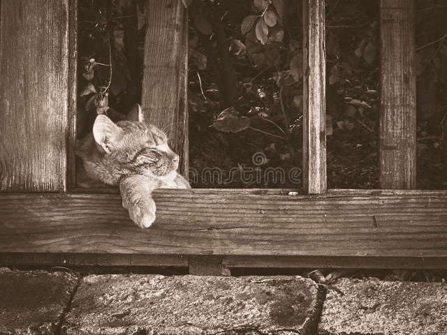 四年级数学上册第一单元的疑难点解惑