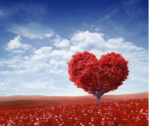 瞬间让对方爱上你的文案