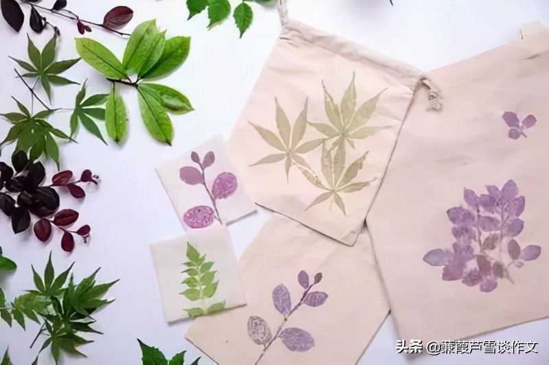 爱物见心，当好“讲述人”——阿宝老师的“作文经”（一二三）