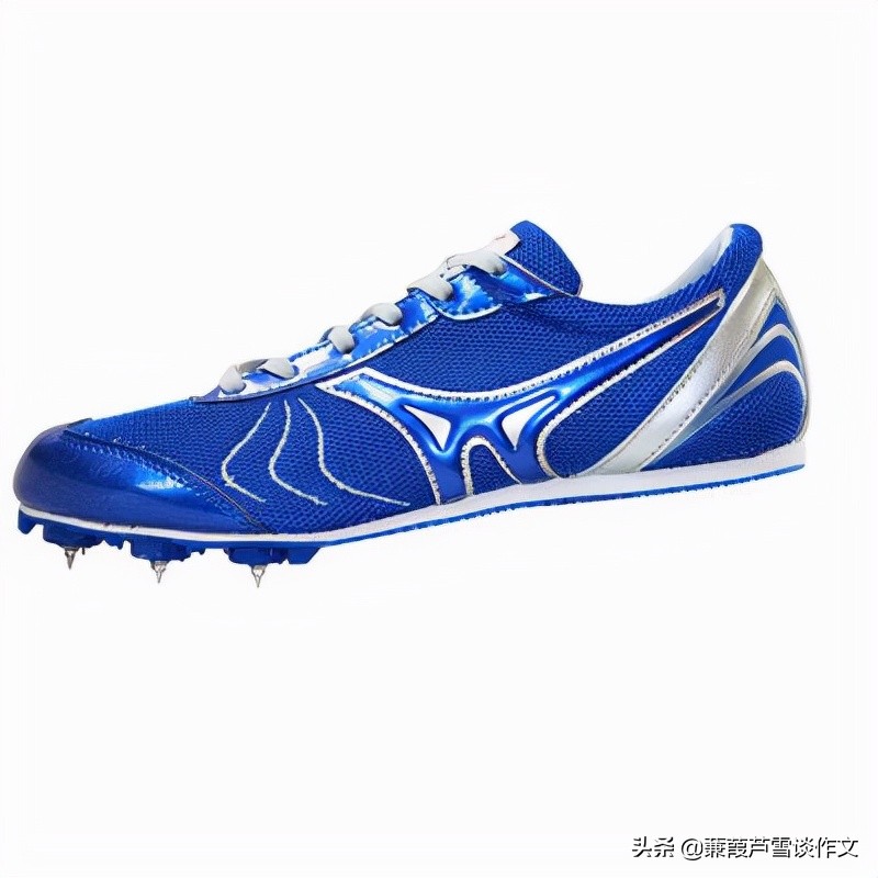 爱物见心，当好“讲述人”——阿宝老师的“作文经”（一二三）