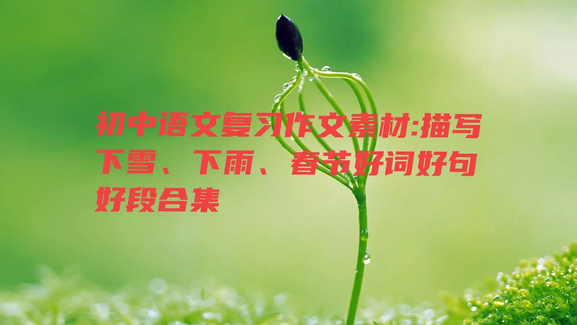 初中语文复习作文素材：描写下雪、下雨、春节好词好句好段合集