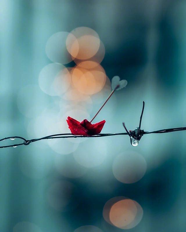 悲伤到撕心裂肺的说说，句句触碰泪点