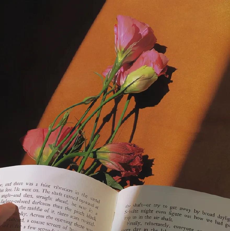 总有一句适合你的心情，短句说说朋友圈