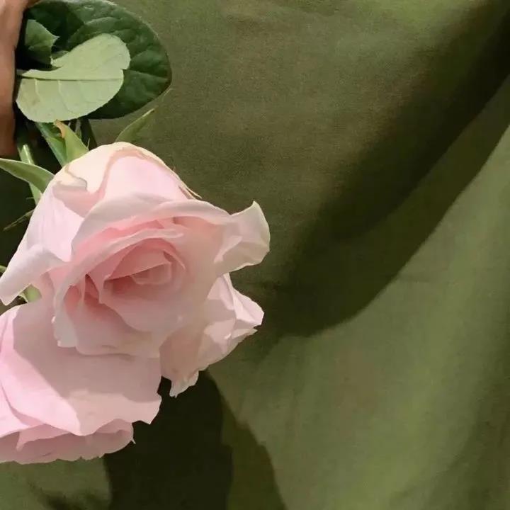 总有一句适合你的心情，短句说说朋友圈