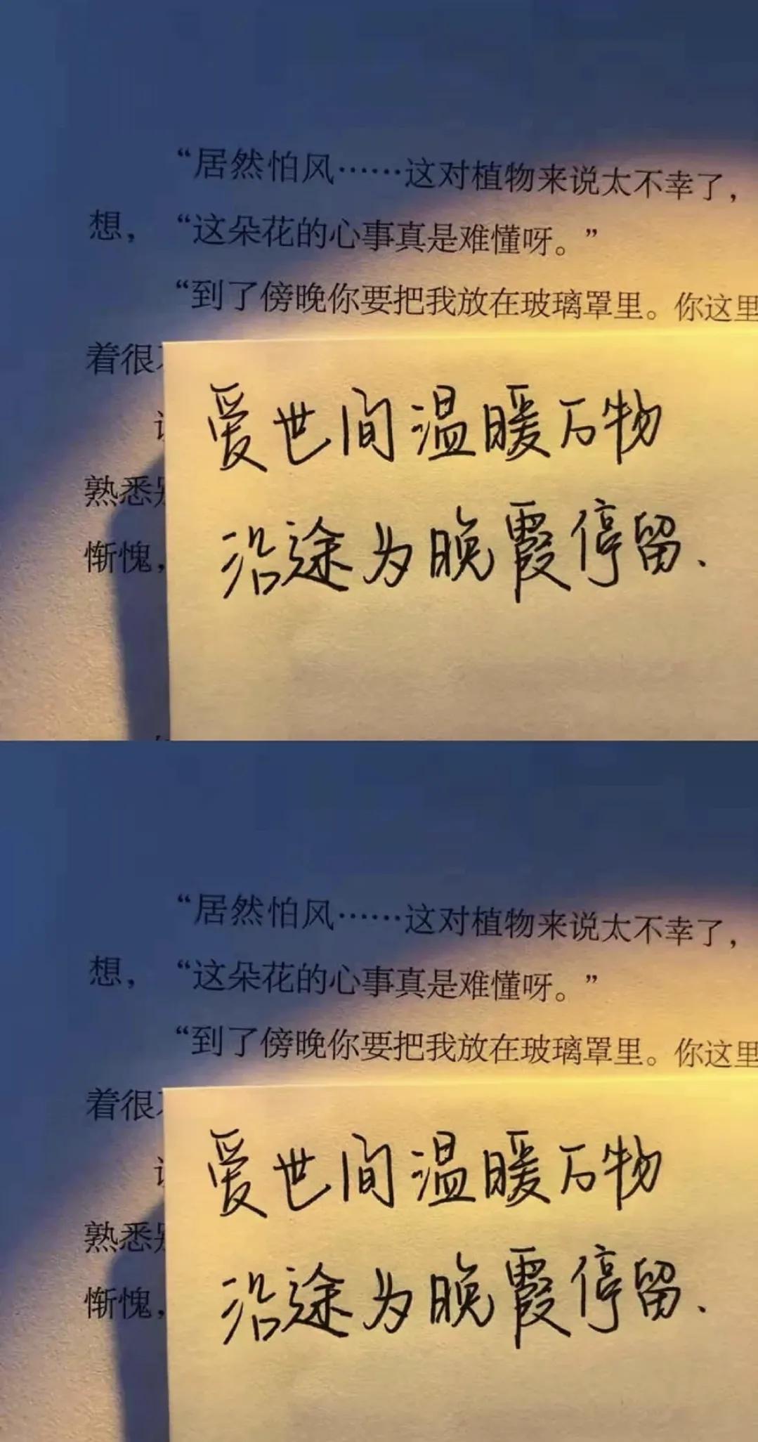 文案｜月亮会失约，太阳会落山.