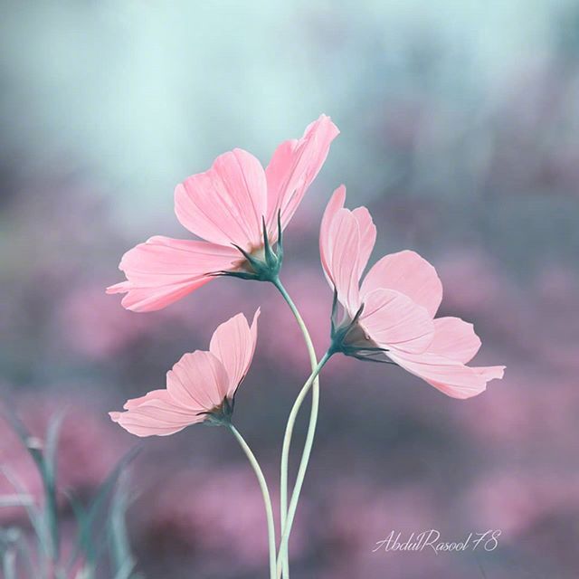 调整心态的哲理说说,一字千金,醍醐灌顶(图4) 调整心态的哲理说说,一字千金,醍醐灌顶