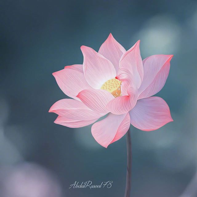 调整心态的哲理说说,一字千金,醍醐灌顶(图3) 调整心态的哲理说说,一字千金,醍醐灌顶