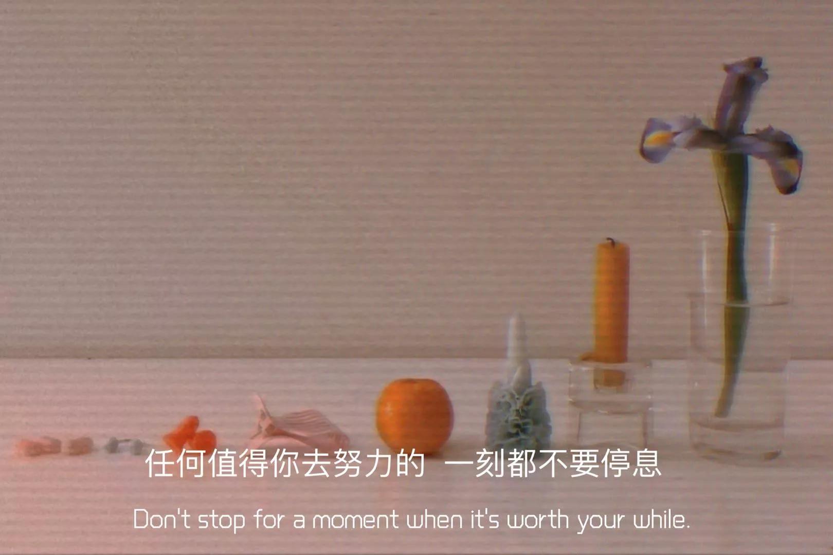 文案｜销声匿迹是我在热爱生活