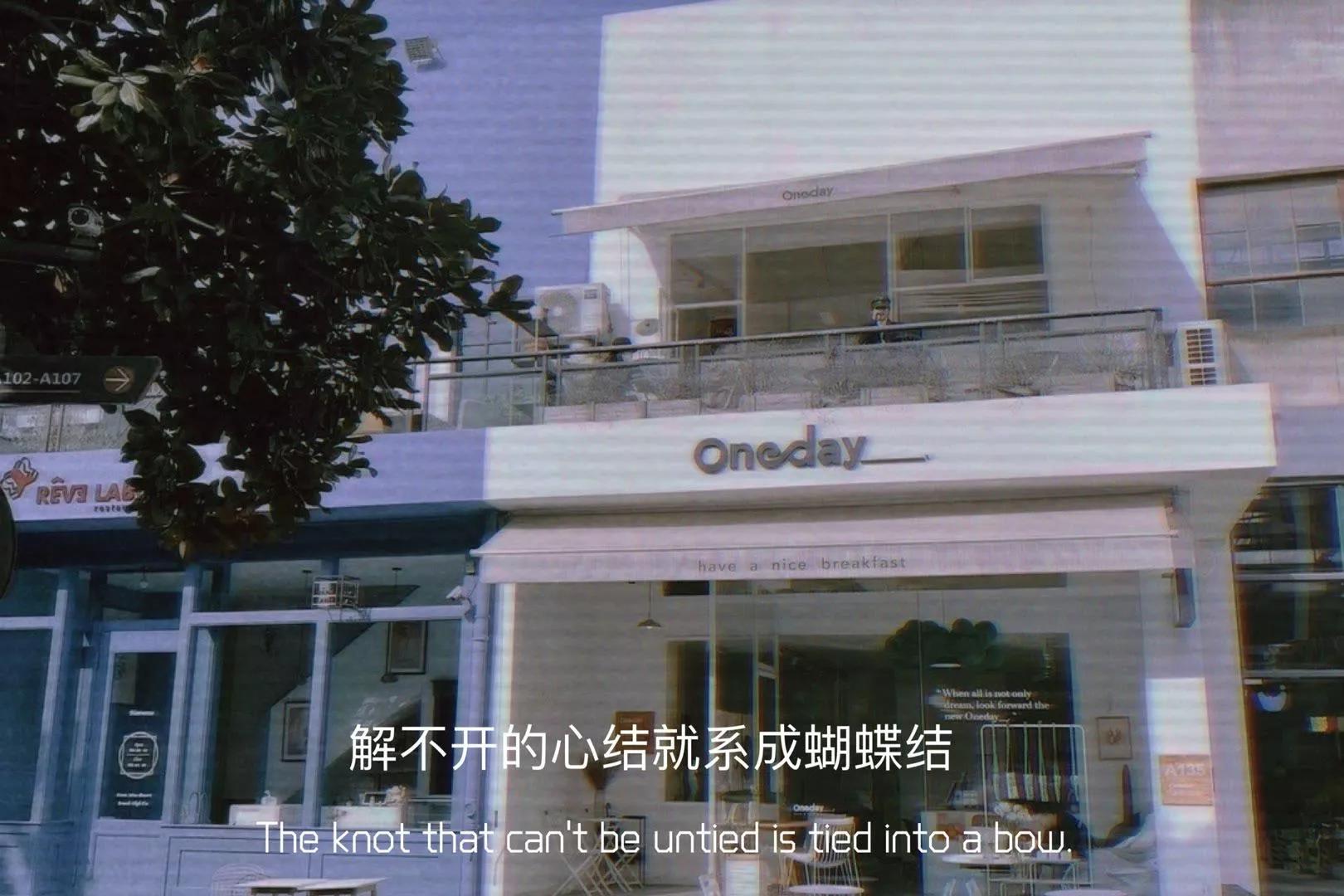 文案｜销声匿迹是我在热爱生活