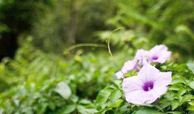 有内涵的朋友圈说说短语，句句碰触心灵，深入人心