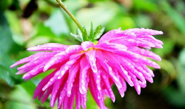 有内涵的朋友圈说说短语，句句碰触心灵，深入人心