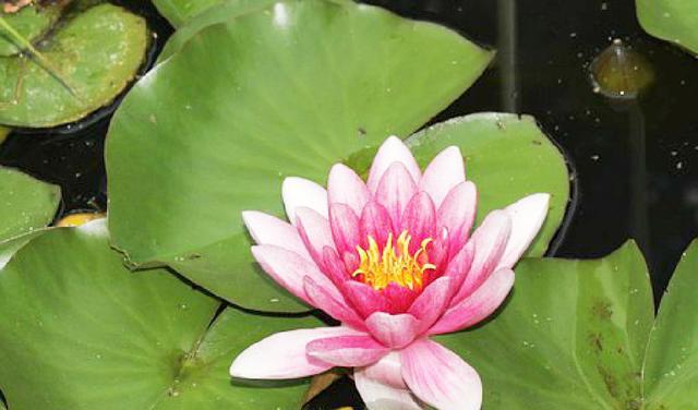 有内涵的朋友圈说说短语，句句碰触心灵，深入人心