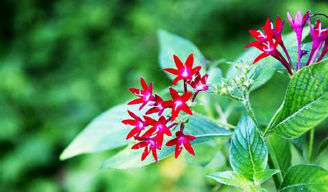 有内涵的朋友圈说说短语，句句碰触心灵，深入人心