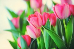 半夜心痛到睡不着的说说文案