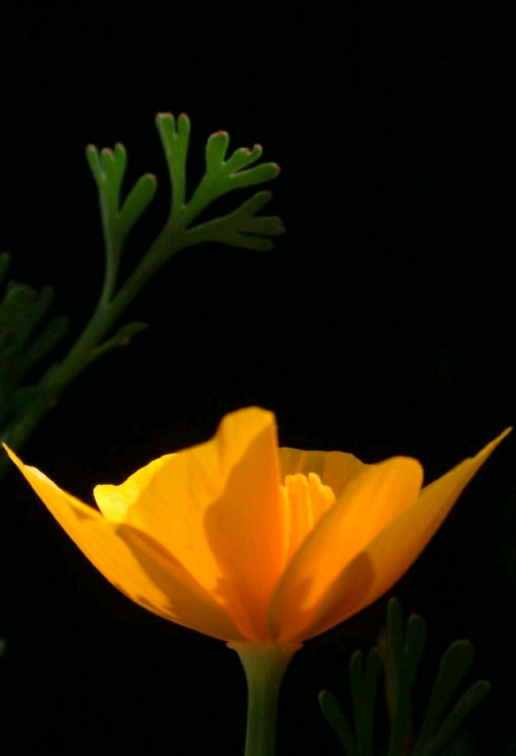 散文：没有人的生活是容易的，人生没有如果，生活只是平常