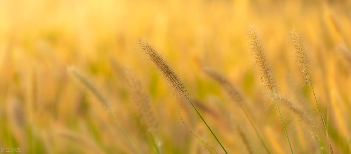 中考满分作文《我骄傲，我是一个温暖的人》