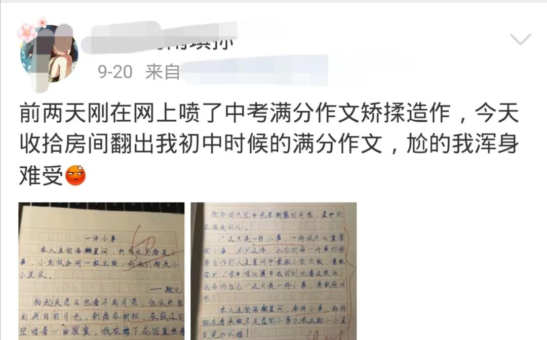 中考满分作文《麻雀》，一流的构思，平中见奇，举重若轻