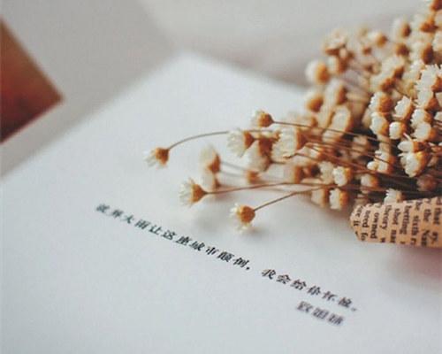 970a3b76bf401d44.jpg ae1c9346gy1ftgfvieemij20xc0xcq56_副本.jpg