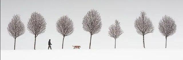 优秀作文/张舒寓《诚信的故事》