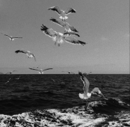 网名｜寓意深刻的小众网名