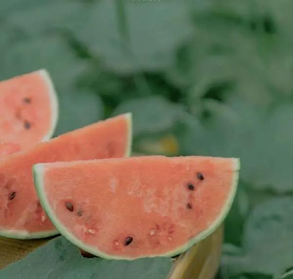 文案分享(每日十句)