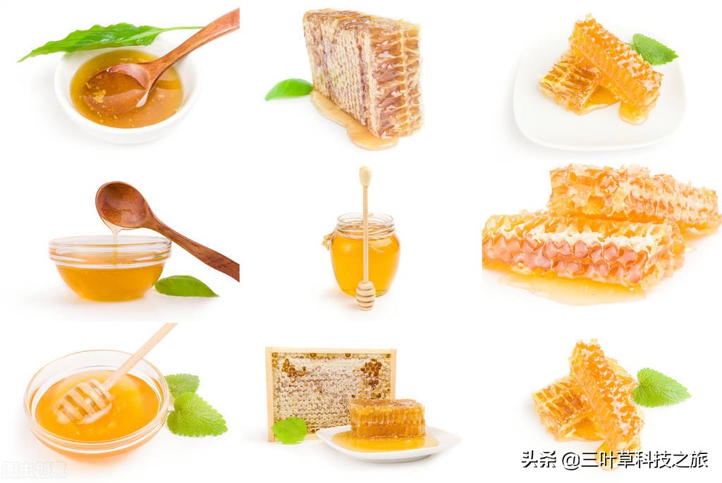 10个有趣的常识性事实，你知道几个？