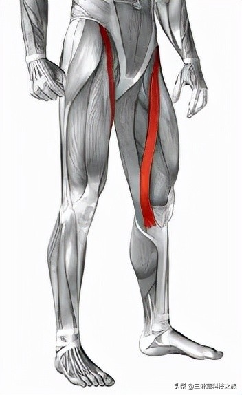 10个有趣的常识性事实，你知道几个？