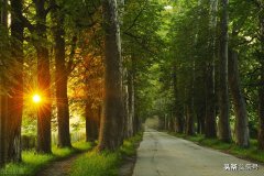 一些生活小知识，快进来查收