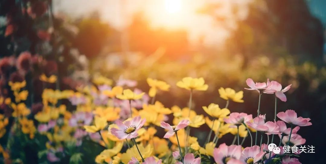 健食关注 | 给您说说“锌”里话(图4) 图片