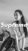 supreme系列图片