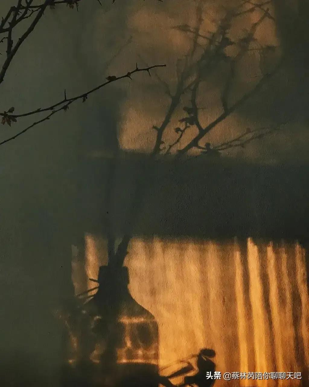 何以解忧，唯有工作