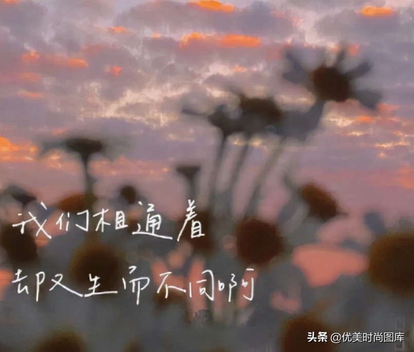 也很有教养的很优雅的文案 温柔又很舒心的说说短句