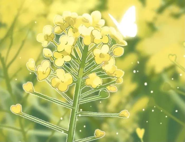 那些惊艳你整个夏天的小说文案