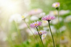 朋友圈高质量人生格言，经典至极，让人大彻大悟