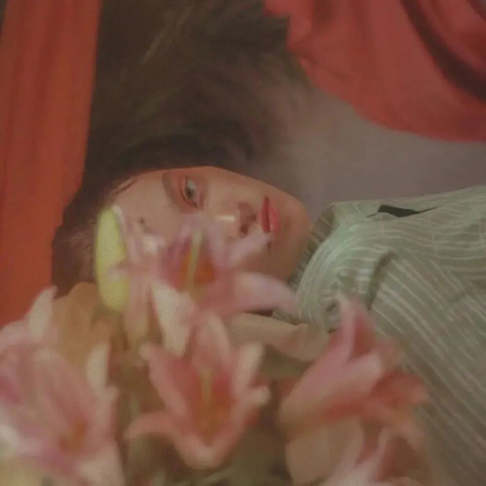 今日份最新头像，有被美到