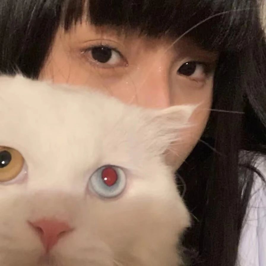 一组心动的头像