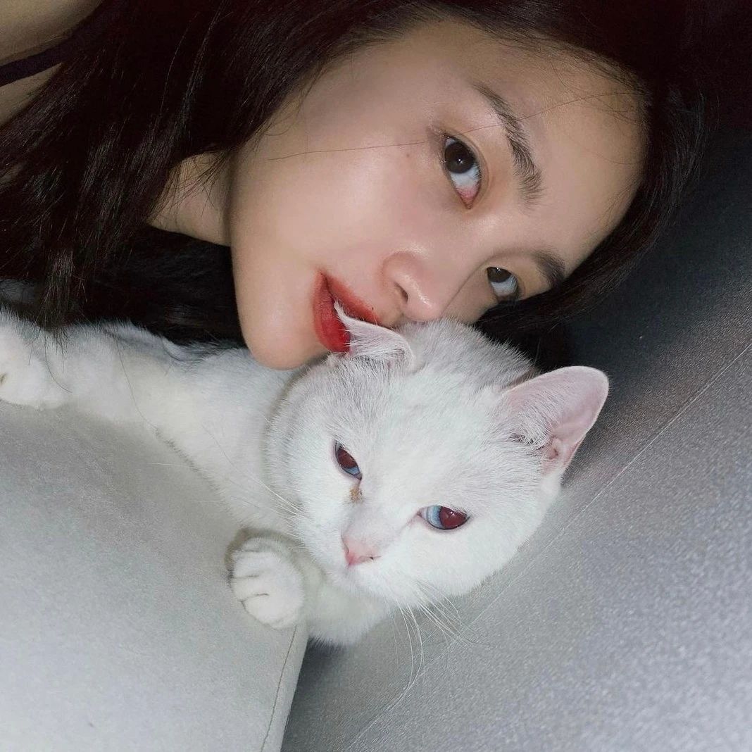 一组心动的头像