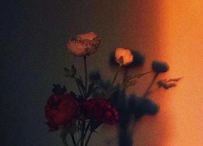 文案｜那些表达岁月静好的文案