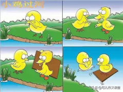 优秀作文精选：小鸡过河