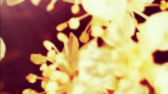 上课流程（作文课，简略版）