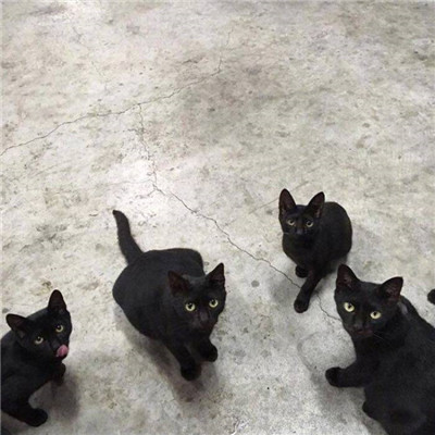 微信冷淡灰暗高清图头像(图5) 微信冷淡灰暗高清图头像