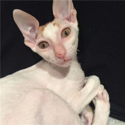 微信冷淡灰暗高清图头像(图9) 微信冷淡灰暗高清图头像