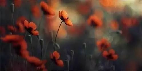 脚踏实地！2020年重庆市中考作文《大处着眼，小处入手》