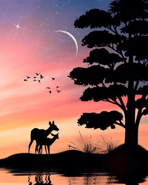 蕴含人生哲理的说说，句句经典，深度好文