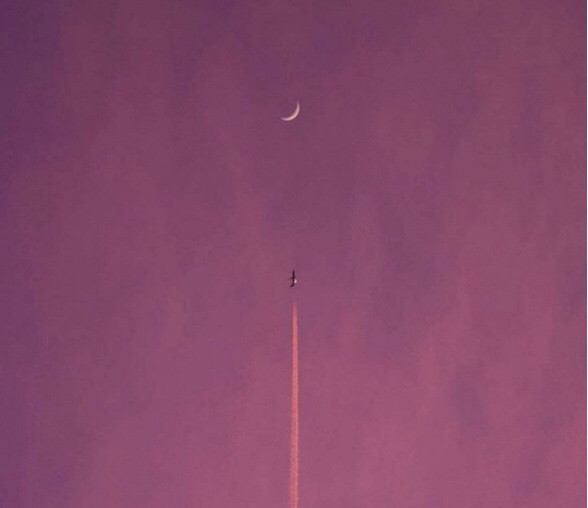 你们的个性签名是什么